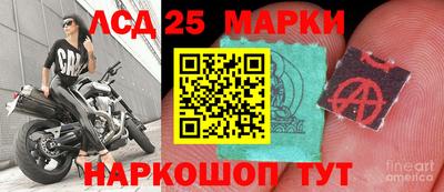 гидра Шелехов